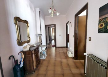 IMG20260724114236 - Apartment Via Agostino Arcangeli Carosi 12, Montecastrilli - photo 11