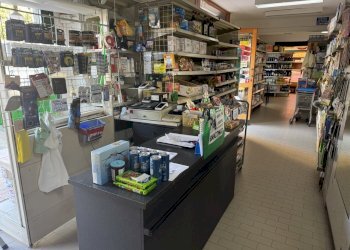 IMG_1234 - Supermarket - Minimarket Via Cavour 18, Sant'Angelo Lodigiano - photo 8