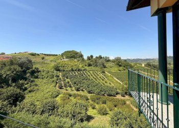Vista - Three-room apartment Frazione San Rocco, 136, Montaldo Roero - photo 9