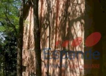 Rustic Loiano - photo 9