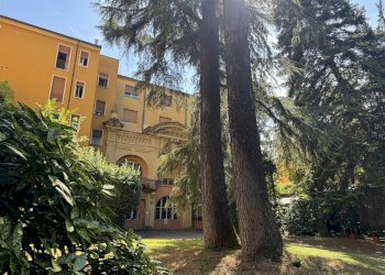 GIARDINO - Three-room apartment via San Petronio Vecchio, Bologna (neighborhood Santo Stefano) - photo 35