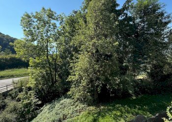 Rustic Borgata Soprana, 1, Sanfront - photo 11