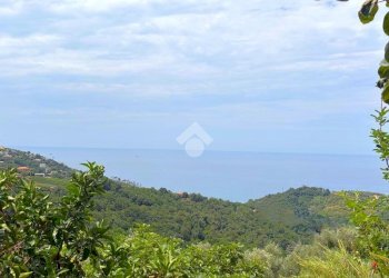 Independent house Via barassi, Lavagna - photo 35
