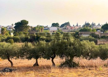 Non correlato - Casa semi indipendente contrada berbarello
 
43f, Marsala - foto 30