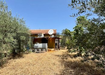 Casa all\'aperto - Terreno agricolo Contrada Accia
snc, Santa Flavia - foto 9