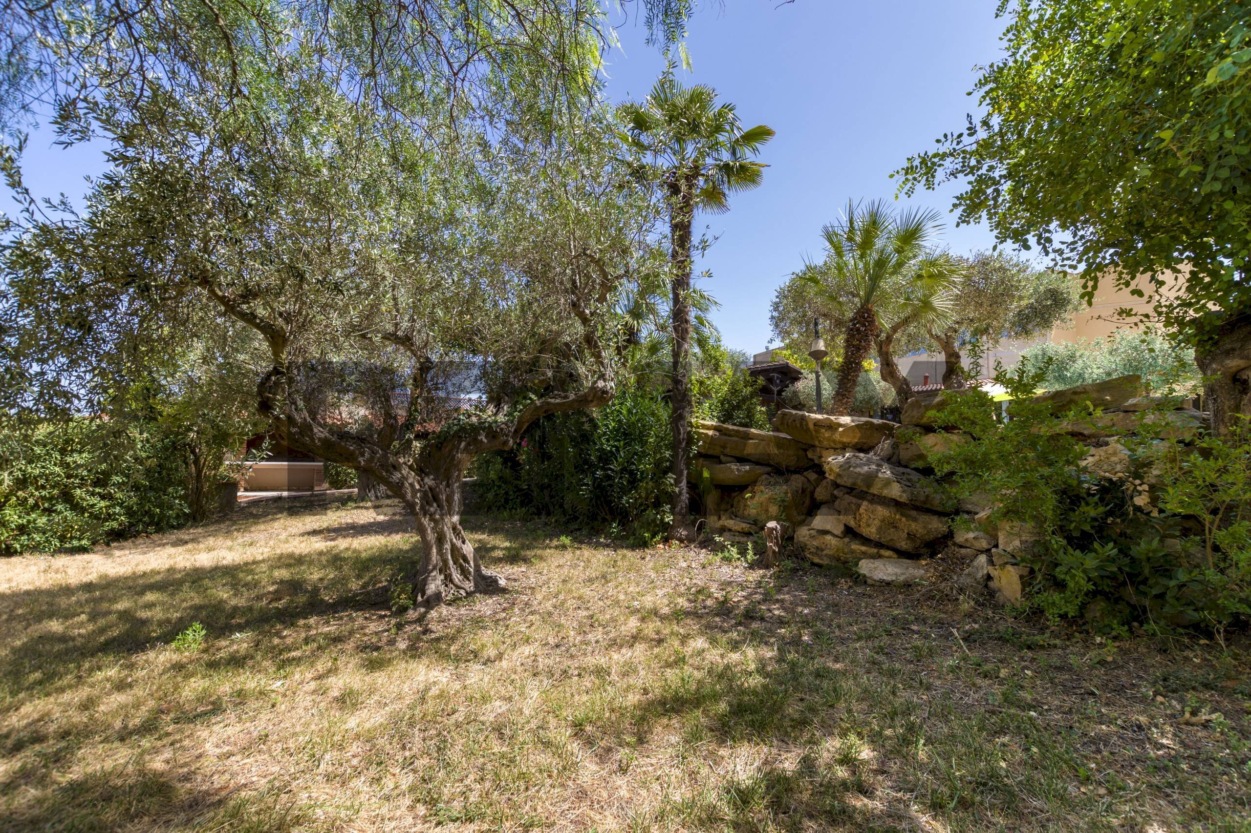 Giardino - Semi-detached house Via Centonze Leonardo
61, Castelvetrano - photo 3