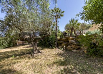 Giardino - Semi-detached house Via Centonze Leonardo
 
61, Castelvetrano - photo 3