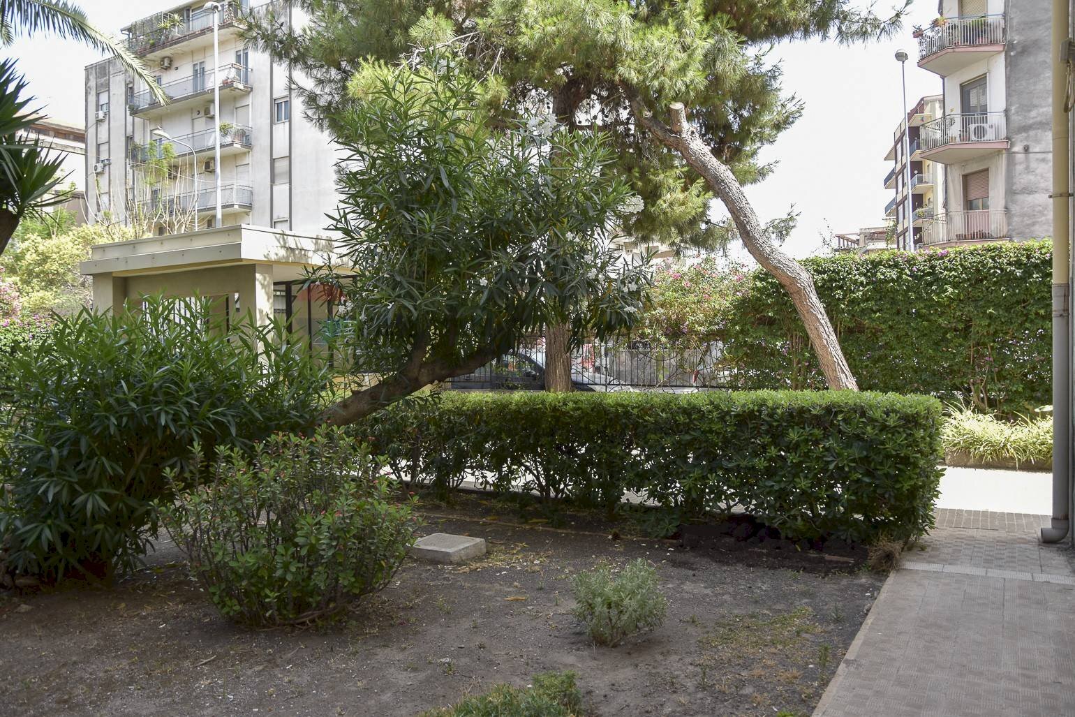Giardino - Box Via Francesco Fusco
45, Catania - foto 3