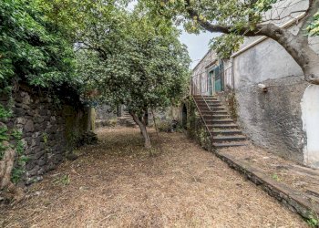 Giardino - Rustic via mazzaglia
10, Nicolosi - photo 15