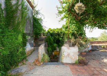 Giardino - Villa Via Cavalier Pietro Leonardi
 
10, Viagrande - foto 39