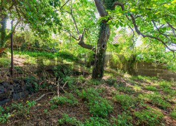 Giardino - Villa Via Cavalier Pietro Leonardi
 
10, Viagrande - foto 52