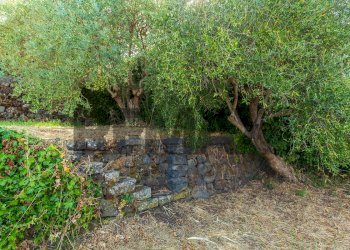 Giardino - Villa Via Cavalier Pietro Leonardi
 
10, Viagrande - foto 57