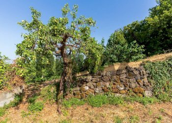 Giardino - Villa Via Cavalier Pietro Leonardi
 
10, Viagrande - foto 59