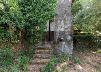 Giardino - Villa Via Cavalier Pietro Leonardi
 
10, Viagrande - foto 61
