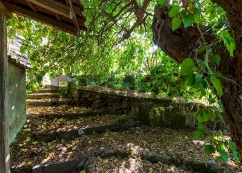 Giardino - Villa Via Cavalier Pietro Leonardi
 
10, Viagrande - foto 64