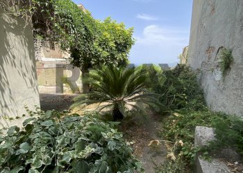 Giardino - Villa Via Mannella
 
15, Spadafora - foto 14
