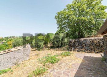 Giardino - Villa sp158
 
12, Biancavilla - foto 24