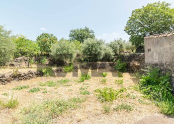 Giardino - Villa sp158
 
12, Biancavilla - foto 42