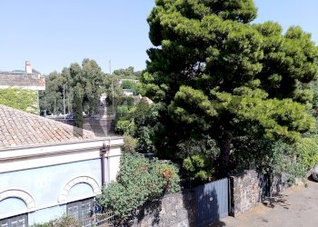 Giardino - Appartamento Via San Paolo
 
62, Catania - foto 71