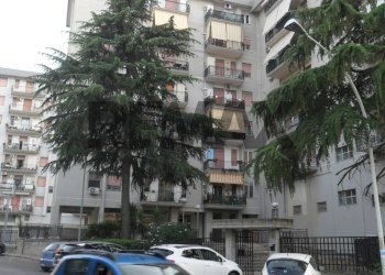 Edificio all\'aperto - Appartamento Via Luisa Moncada
 
56, Caltanissetta - foto 17