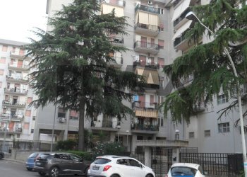 Edificio all\'aperto - Appartamento Via Luisa Moncada
 
56, Caltanissetta - foto 18