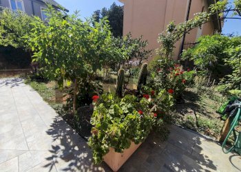 Giardino - Independent house Brandini
 
4, Quiliano - photo 83