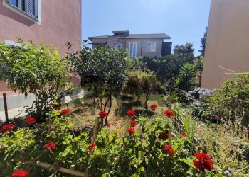 Giardino - Independent house Brandini
 
4, Quiliano - photo 91
