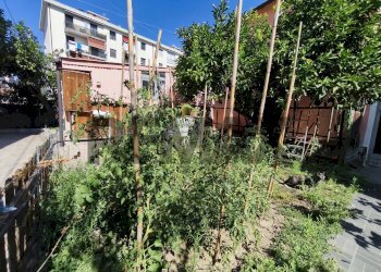 Giardino - Independent house Brandini
 
4, Quiliano - photo 99