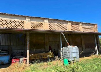 Casa all\'aperto - Rustic Via Tamara
 
snc, Ferrara - photo 5