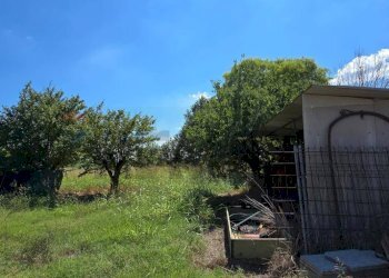 Giardino - Rustic Via Tamara
 
snc, Ferrara - photo 20