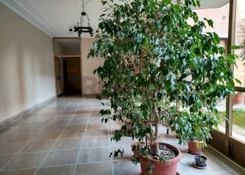 Ricezione / Lobby - Non-buildable land Via Giuseppe Rossi
21, Parma - photo 36