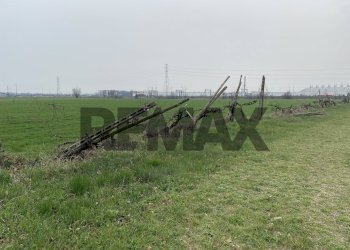 Giardino - Agricultural land Strada Baganzola
 
1, Parma - photo 8