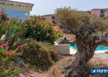 Foto 37 - Villa la marinedda, Trinità d'Agultu e Vignola - foto 37
