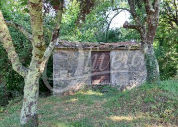 Foto 7 - Rustico Gombereto, Bagni di Lucca - foto 7