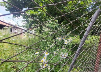 Giardino - Rustico via rusca
 
5, Villa Guardia - foto 32