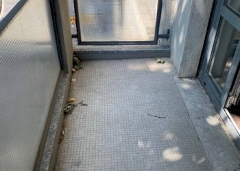 Foto 14 - Bilocale Via Francesco Soave
 
11, Milano - foto 14