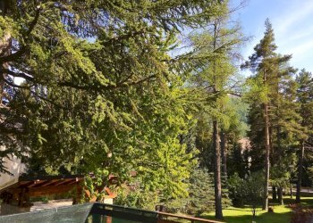 Vista - Four-room apartment viale San Francesco, 12, Bardonecchia - photo 4