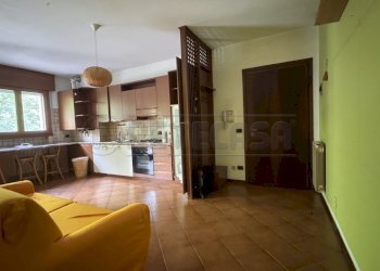 IMG_3029 - Appartamento Mirano - foto 2
