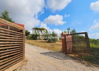 Agriturismo in vendita MaioraInvest1 - Agriturismo Monteprandone - foto 5