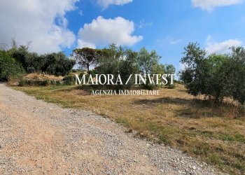 Agriturismo in vendita MaioraInvest2 - Agriturismo Monteprandone - foto 6
