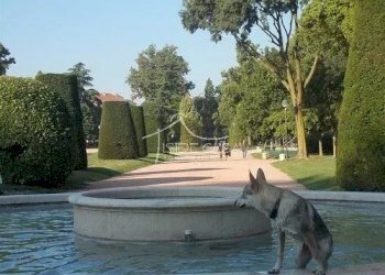 Quadrilocale Mantova - foto 18