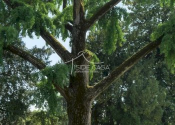 Villa Sabbioneta - photo 13