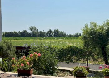 Villa Curtatone - photo 47