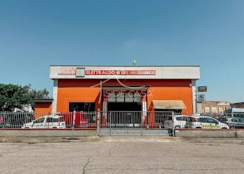 Capannone Mantova - foto 13