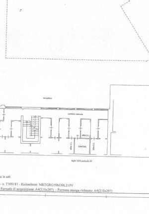 Stabile - Palazzo Torino - planimetria 1