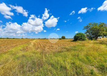 Rustico Via Gualdello, Savignano sul Rubicone - foto 9