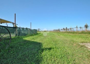 Independent house Str. Lotti, Cigliano - photo 41
