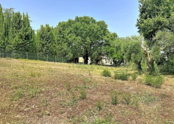 Apartment Castelfidardo - photo 10