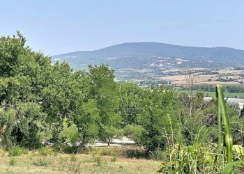 Apartment Castelfidardo - photo 15