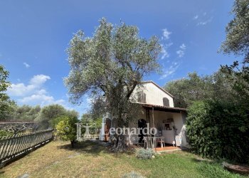 Foto 1 - Casa indipendente via Canipaletti, Massarosa - foto 1